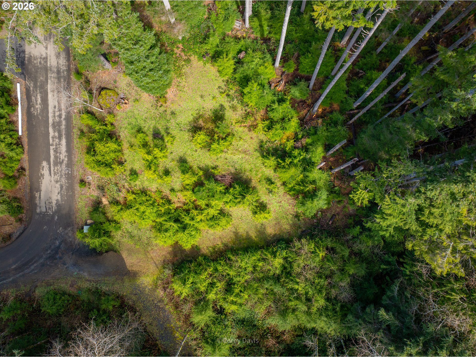 0 Walsh Lane Arch Cape, OR 97102 - Photo 3 of 18 a view of a garden