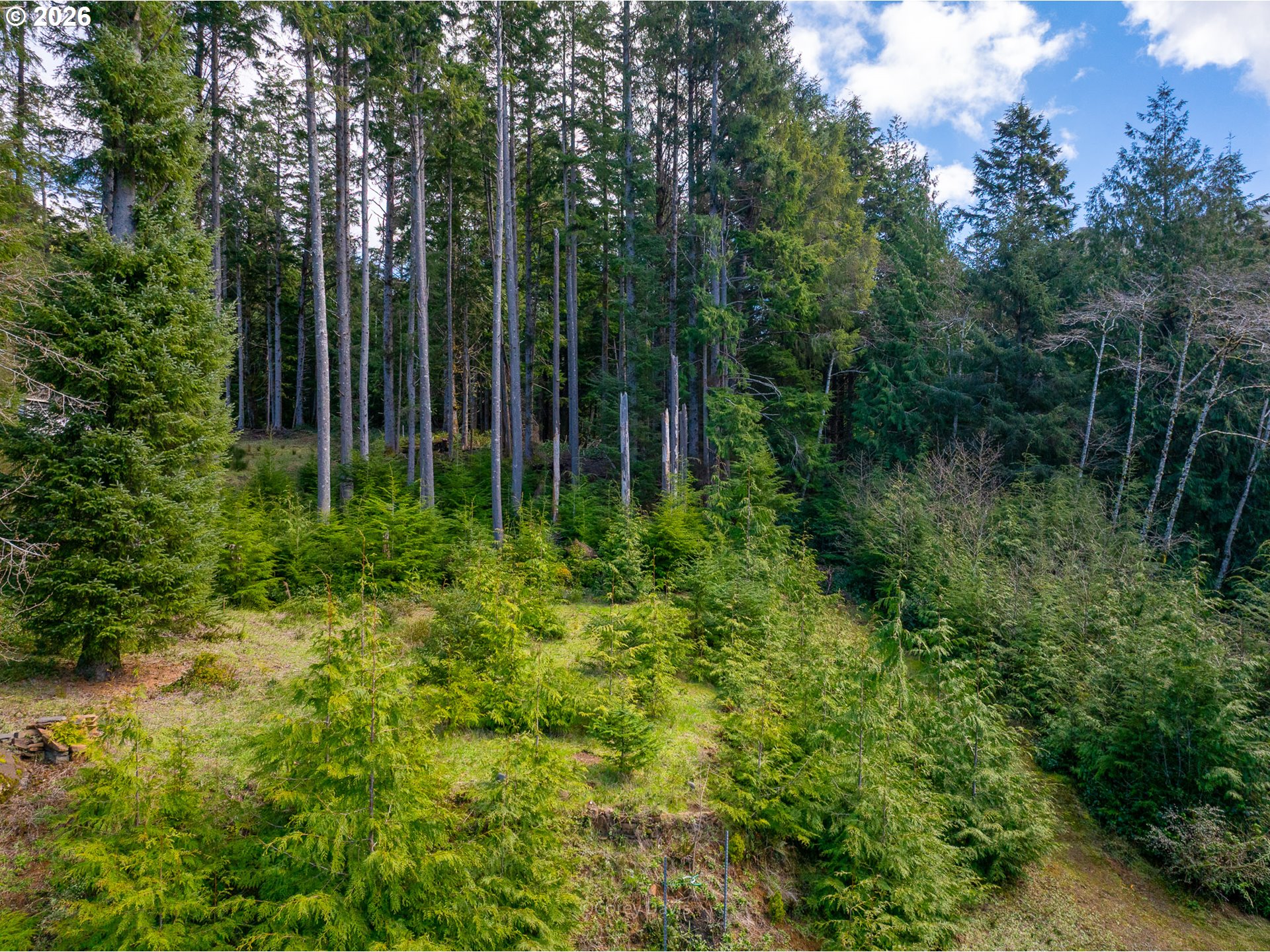 0 Walsh Lane Arch Cape, OR 97102 - Photo 5 of 18 a view of a garden