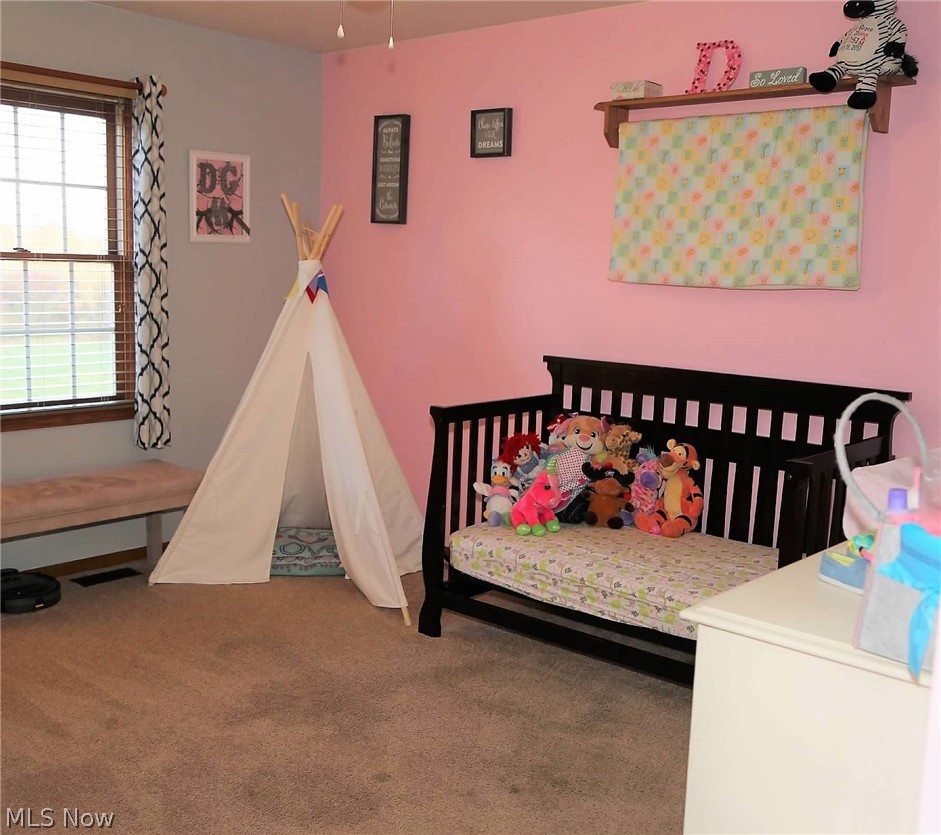 6675 Moff Road Atwater, OH 44201 - Photo 18 of 27 Gallery Image 18