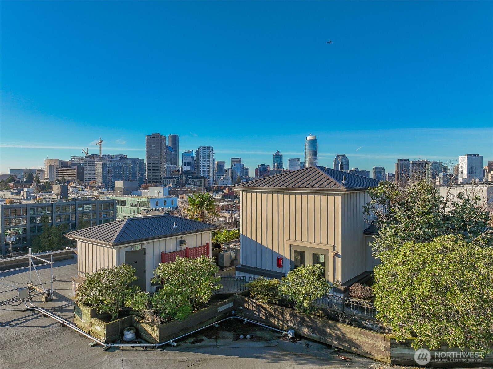 1125 East Olive Street, Unit 212 Seattle, WA 98122 - Photo 34 of 39 a view of a city with tall buildings