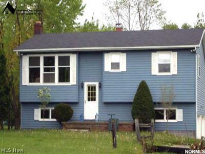 4848 Winchell Road Mantua, OH 44255 - Photo 1 of 1 Gallery Image 1
