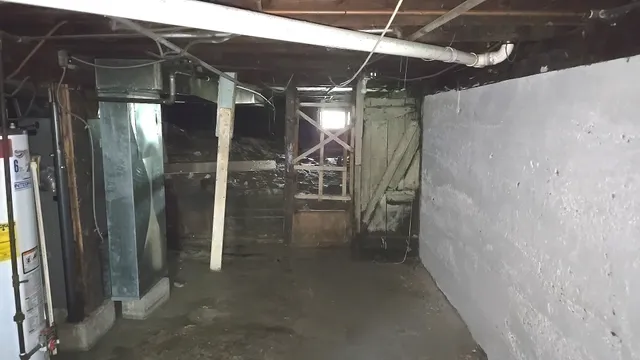 a view of a back yard