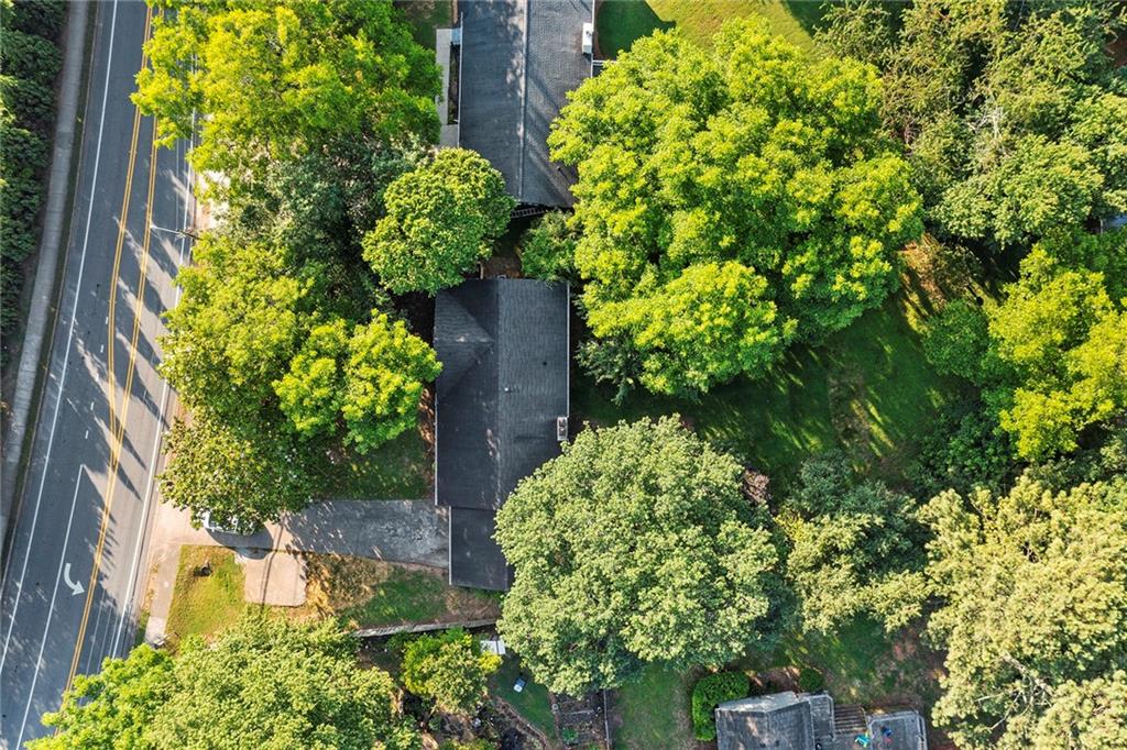 410 Milton Avenue Alpharetta, GA 30009 - Photo 35 of 42 a view of a garden with plants