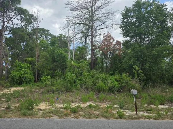$75,000 | 3475 El Prado Avenue, Spring Hill, FL 34609