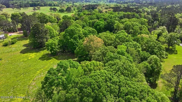 $125,000 | Ms-13, Mendenhall, MS 39114