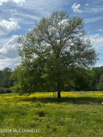 $125,000 | Ms-13, Mendenhall, MS 39114