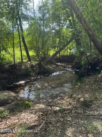 $125,000 | Ms-13, Mendenhall, MS 39114