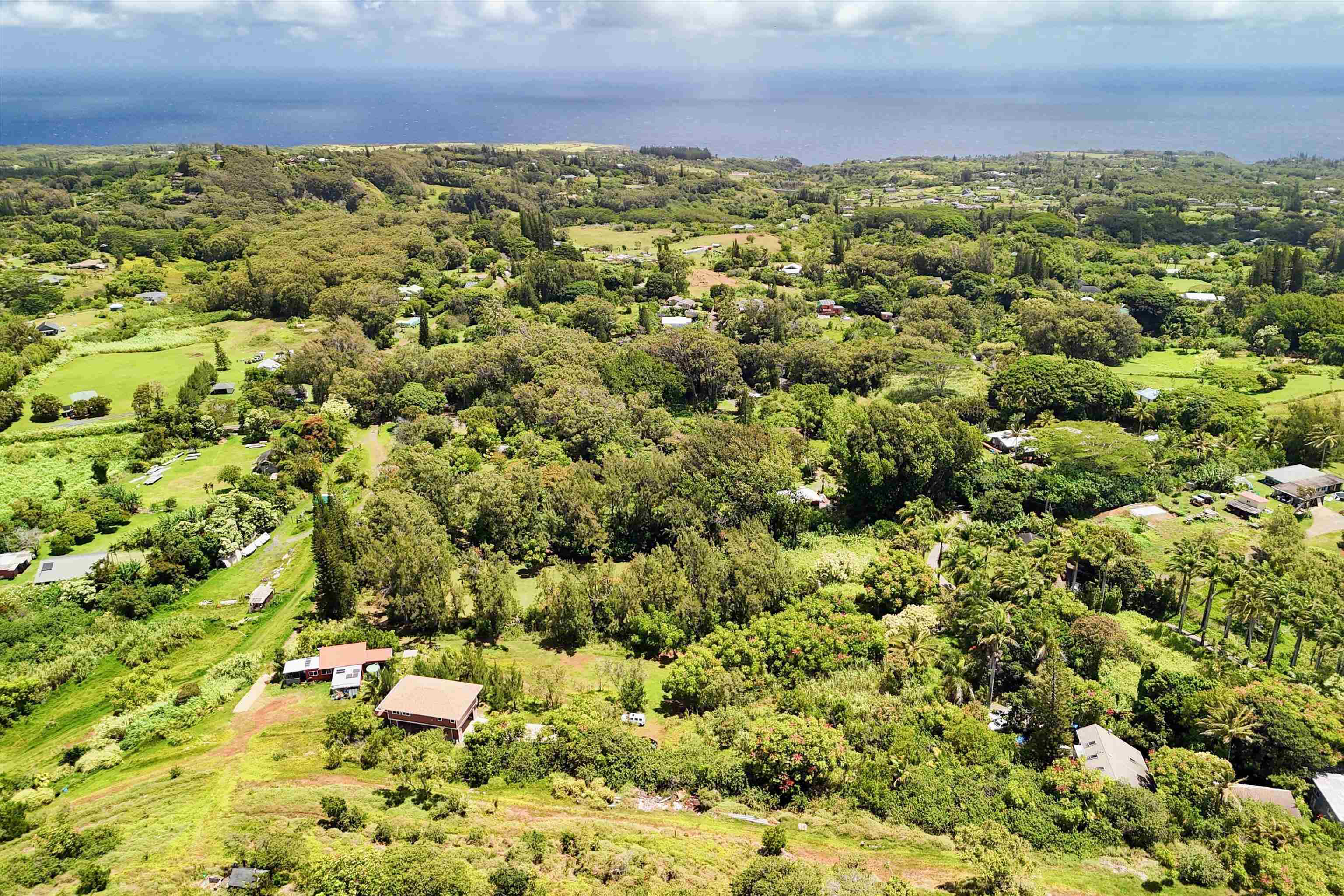 605 Kaupakalua Road Haiku, HI 96708 - Photo 25 of 44 an aerial view of a houses with a yard