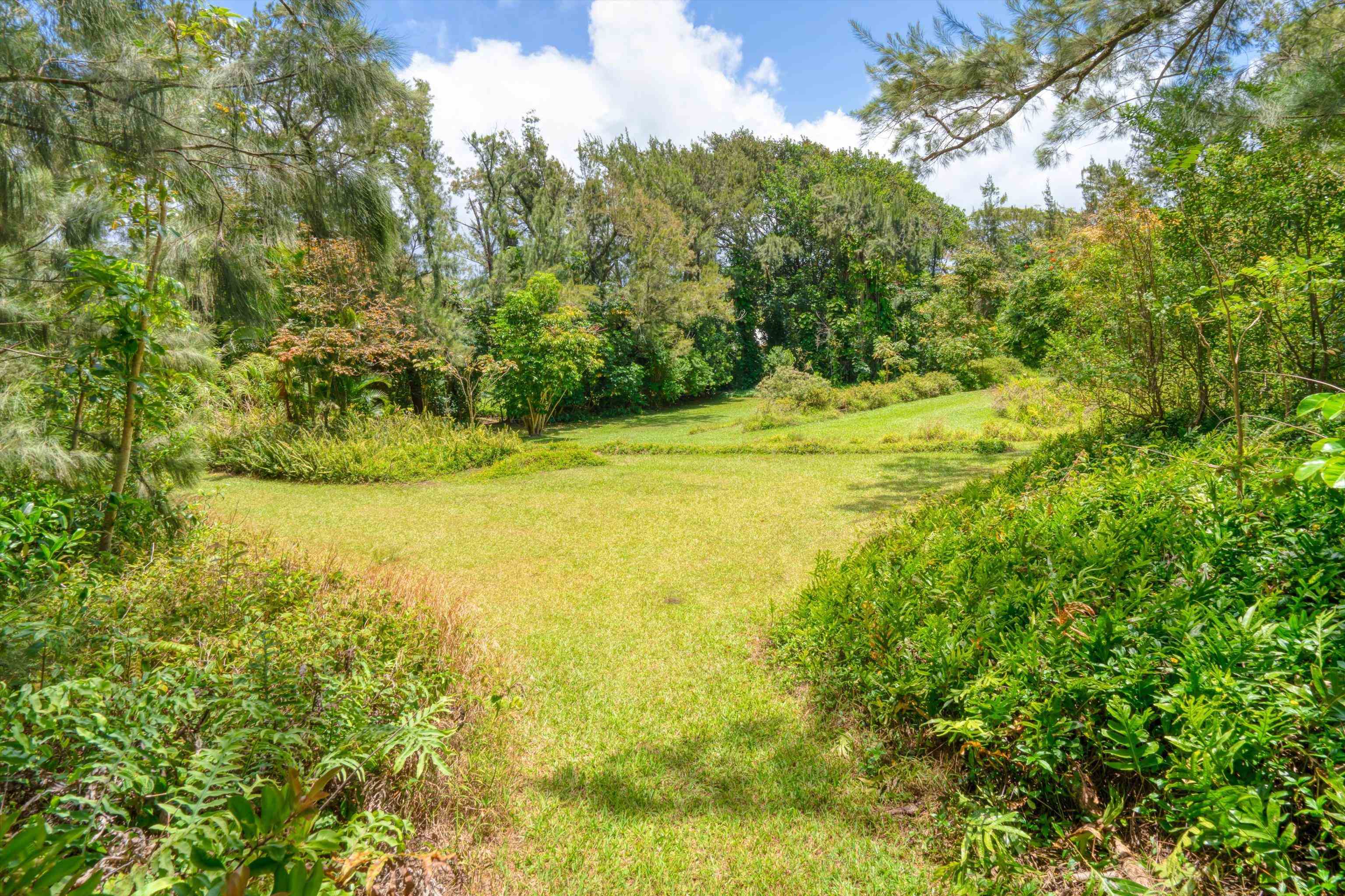 605 Kaupakalua Road Haiku, HI 96708 - Photo 27 of 44 a view of a yard with an outdoor space