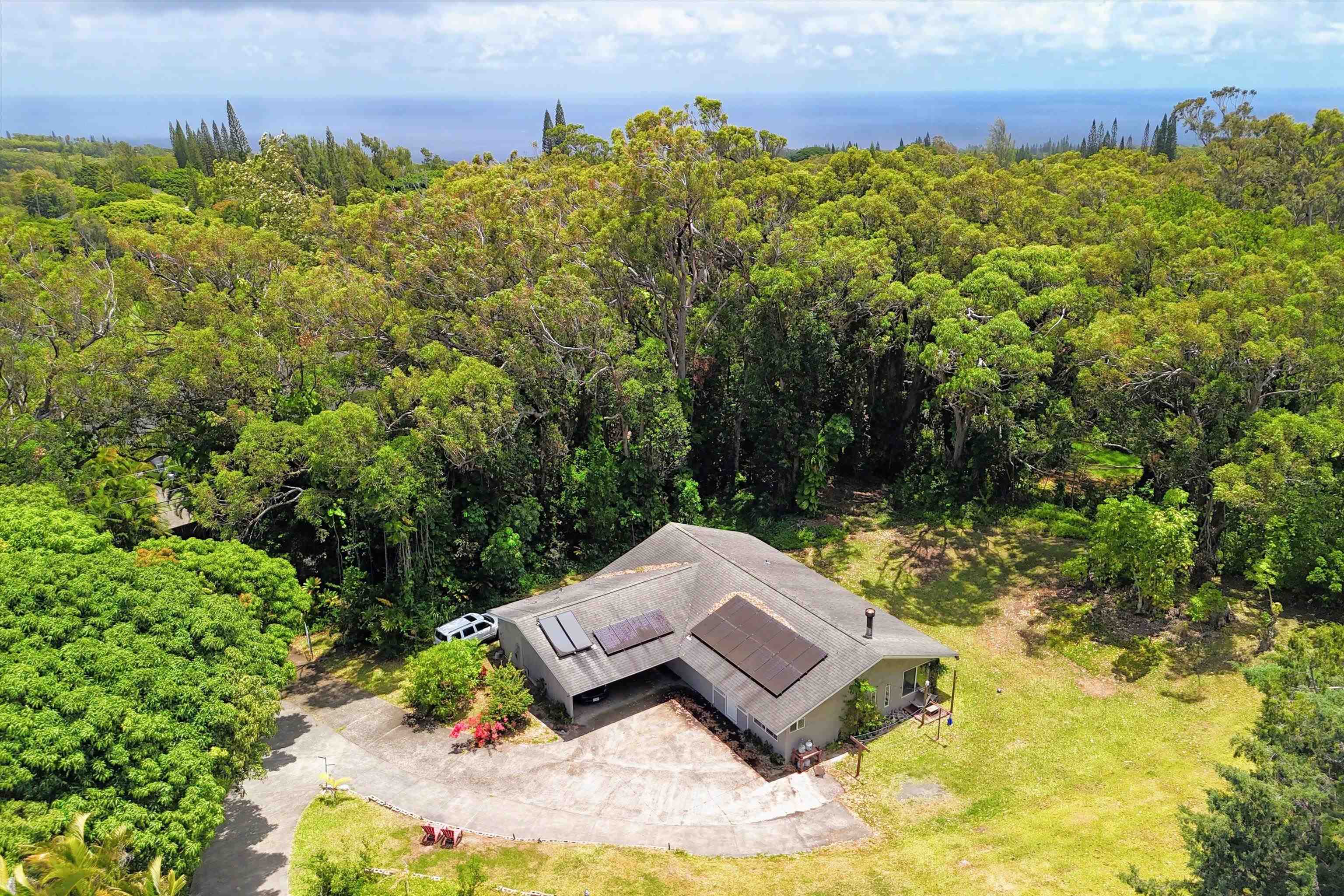 605 Kaupakalua Road Haiku, HI 96708 - Photo 28 of 44 a view of a swimming pool with a yard