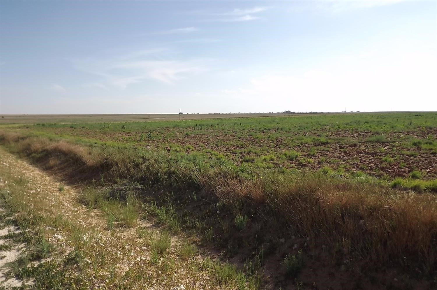 0 King Road Anton, TX 79313 - Photo 1 of 6 Photo 1