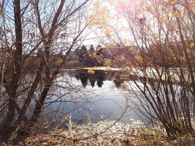 $2,295 | 9204 Holly Lane North, Unit 403, Maple Grove, MN 55311