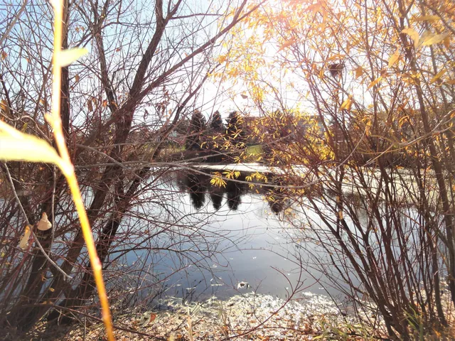 $2,295 | 9204 Holly Lane North, Unit 403, Maple Grove, MN 55311