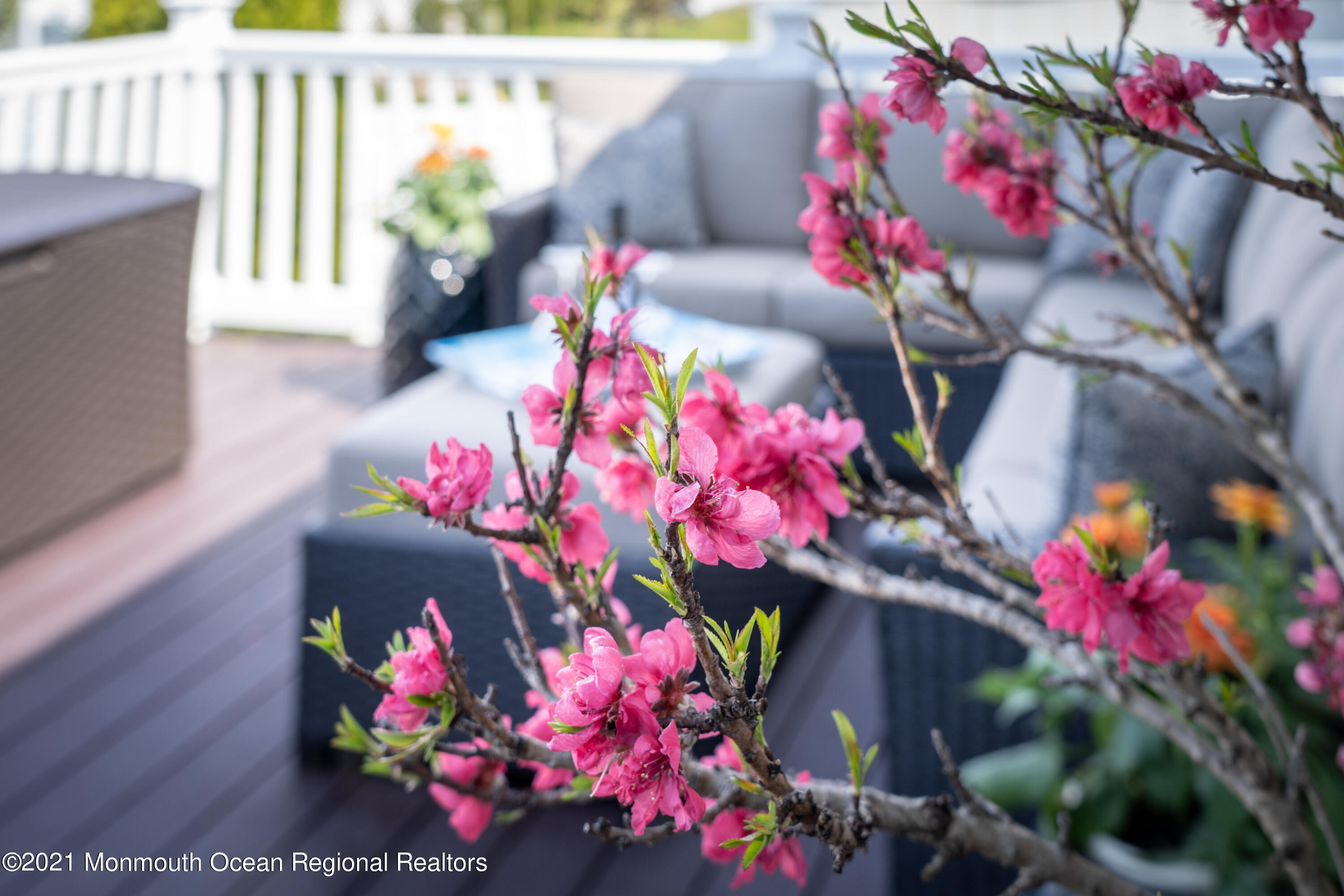 1032 Radio Road Little Egg Harbor, NJ 08087 - Photo 43 of 62 Detail-1