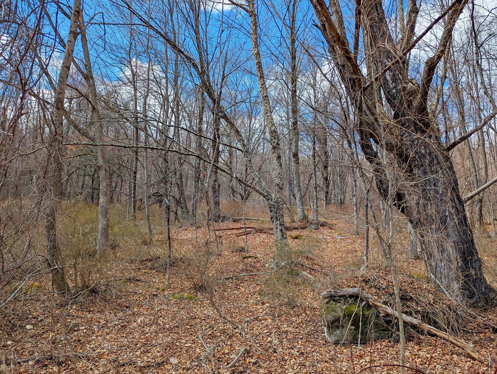 Lot 33.03 William Holmes Road Becket, MA 01223 - Photo 12 of 17 a backyard of a house with lots of green space