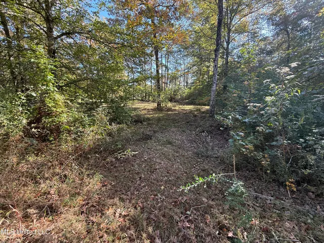 $28,000 | Paige Drive, McComb, MS 39648