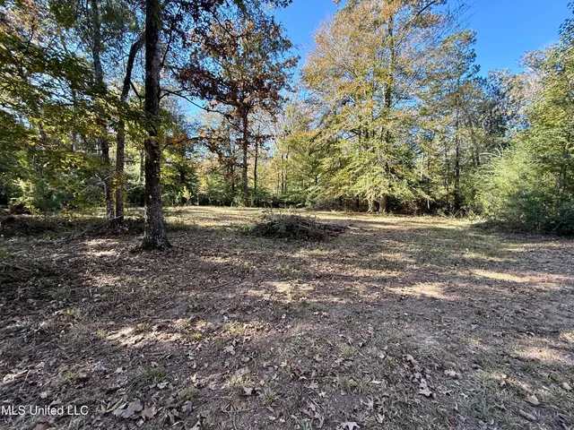 $28,000 | Paige Drive, McComb, MS 39648