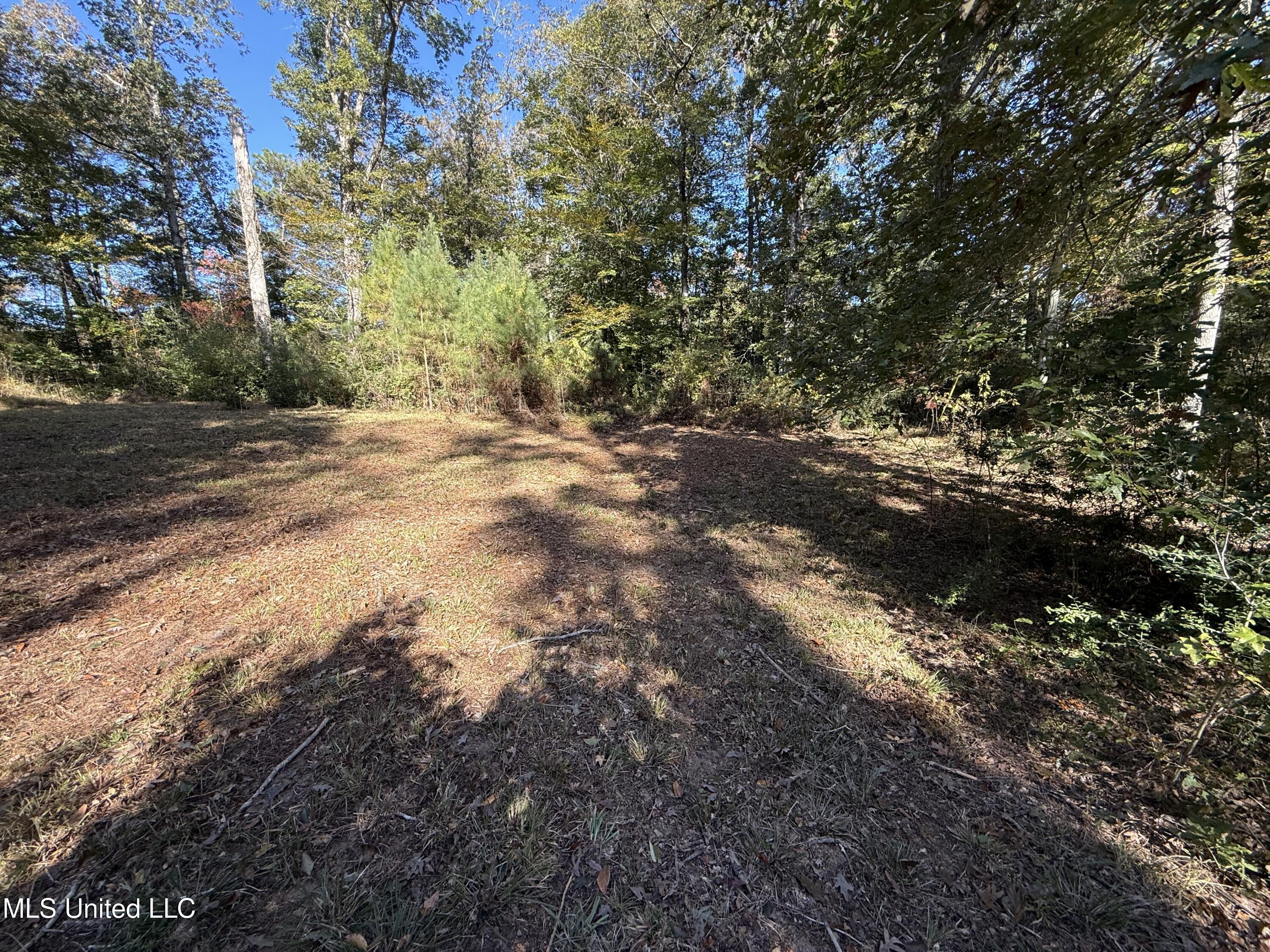 Paige Drive McComb, MS 39648 - Photo 3 of 12 IMG_2832