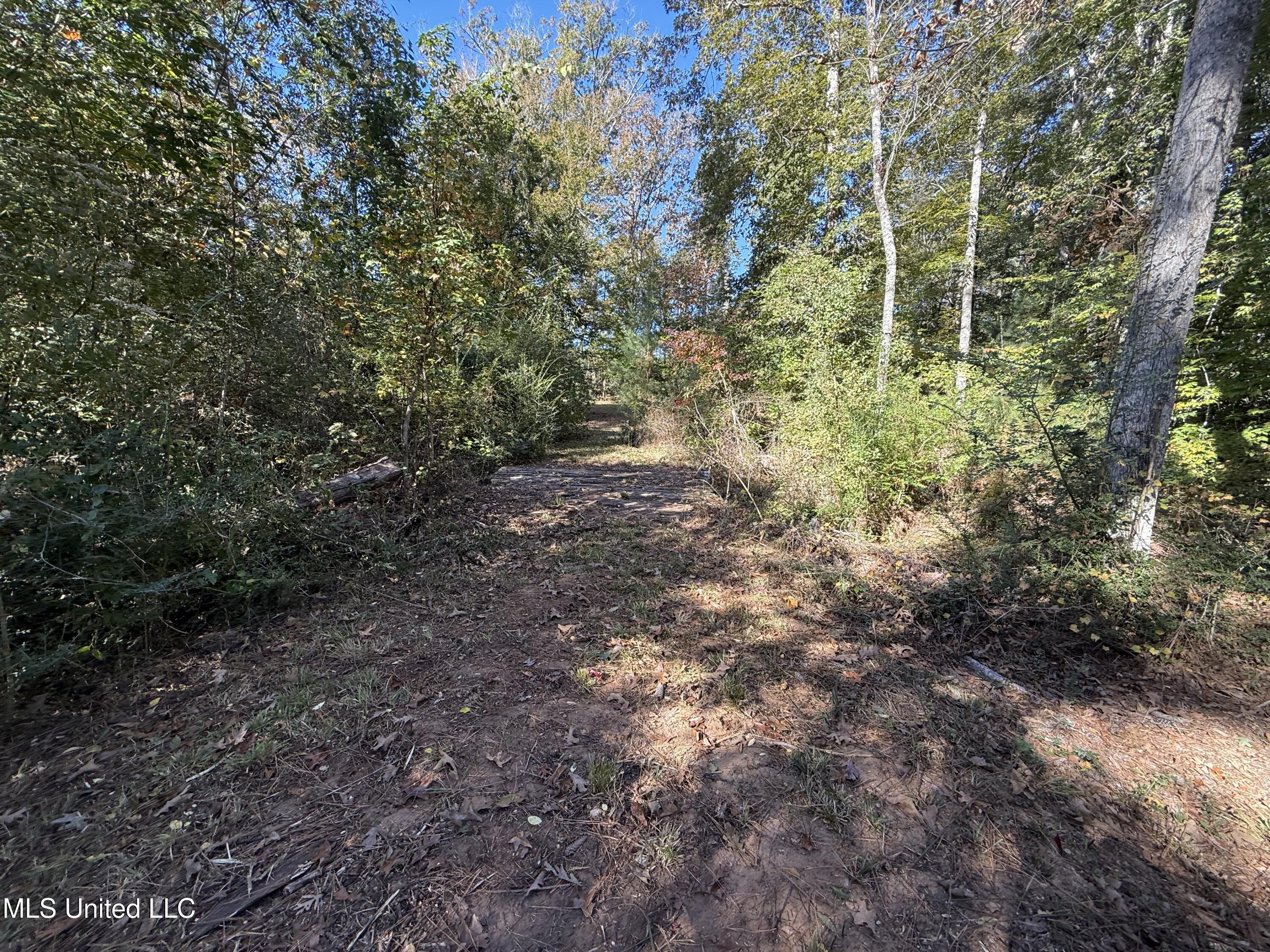 Paige Drive McComb, MS 39648 - Photo 4 of 12 IMG_2830