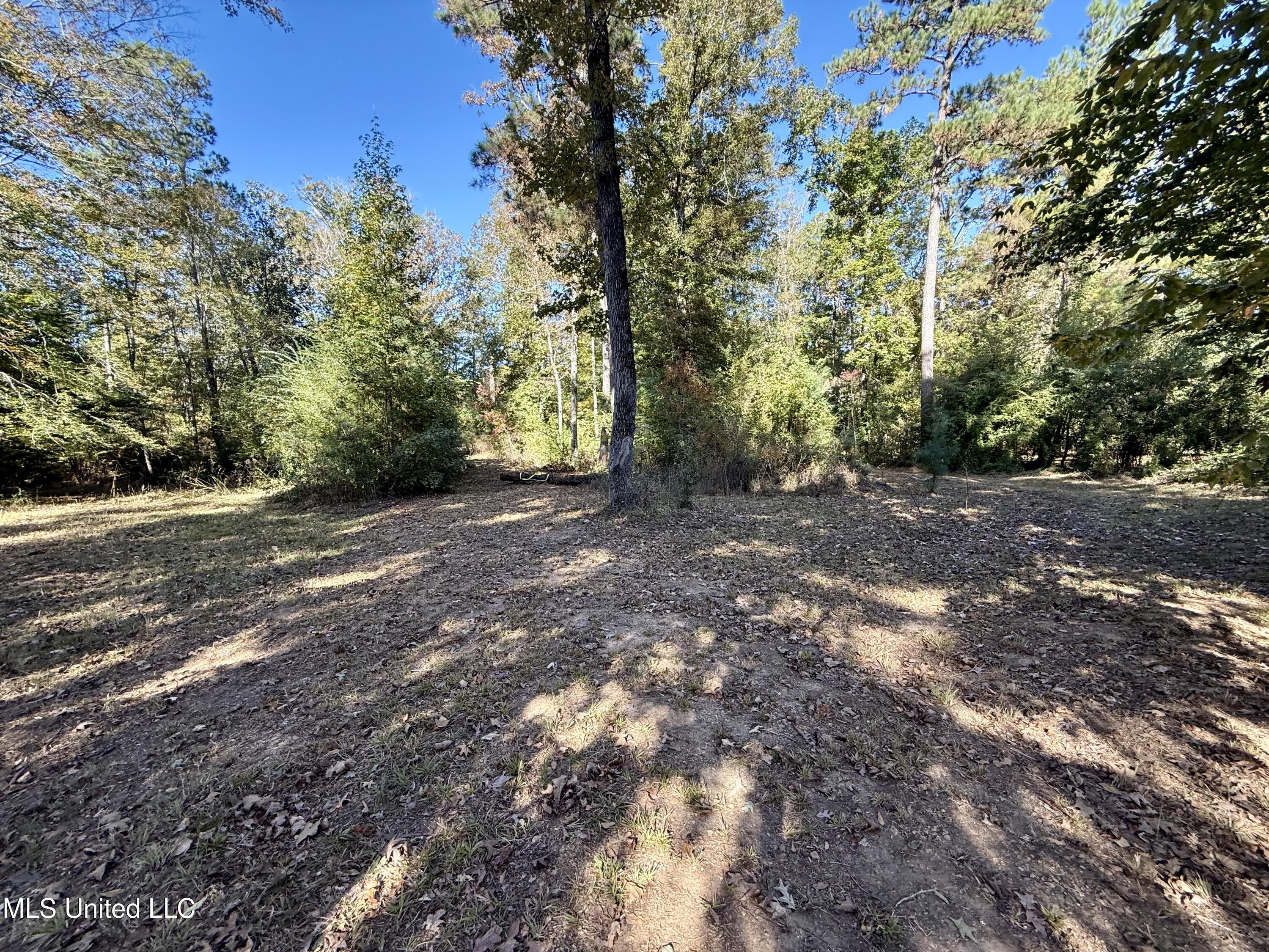 Paige Drive McComb, MS 39648 - Photo 5 of 12 IMG_2828