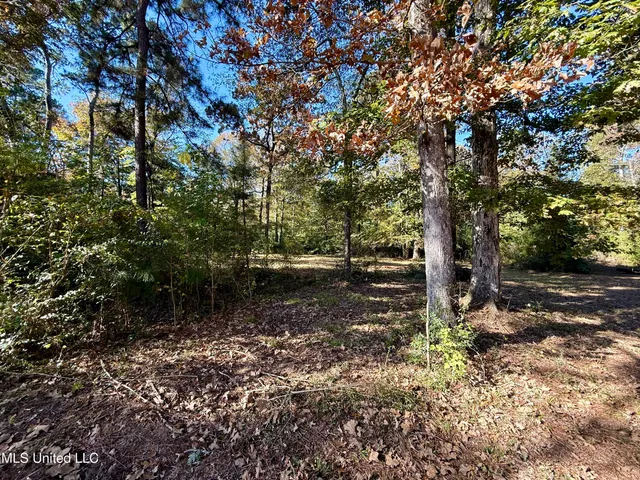 $28,000 | Paige Drive, McComb, MS 39648