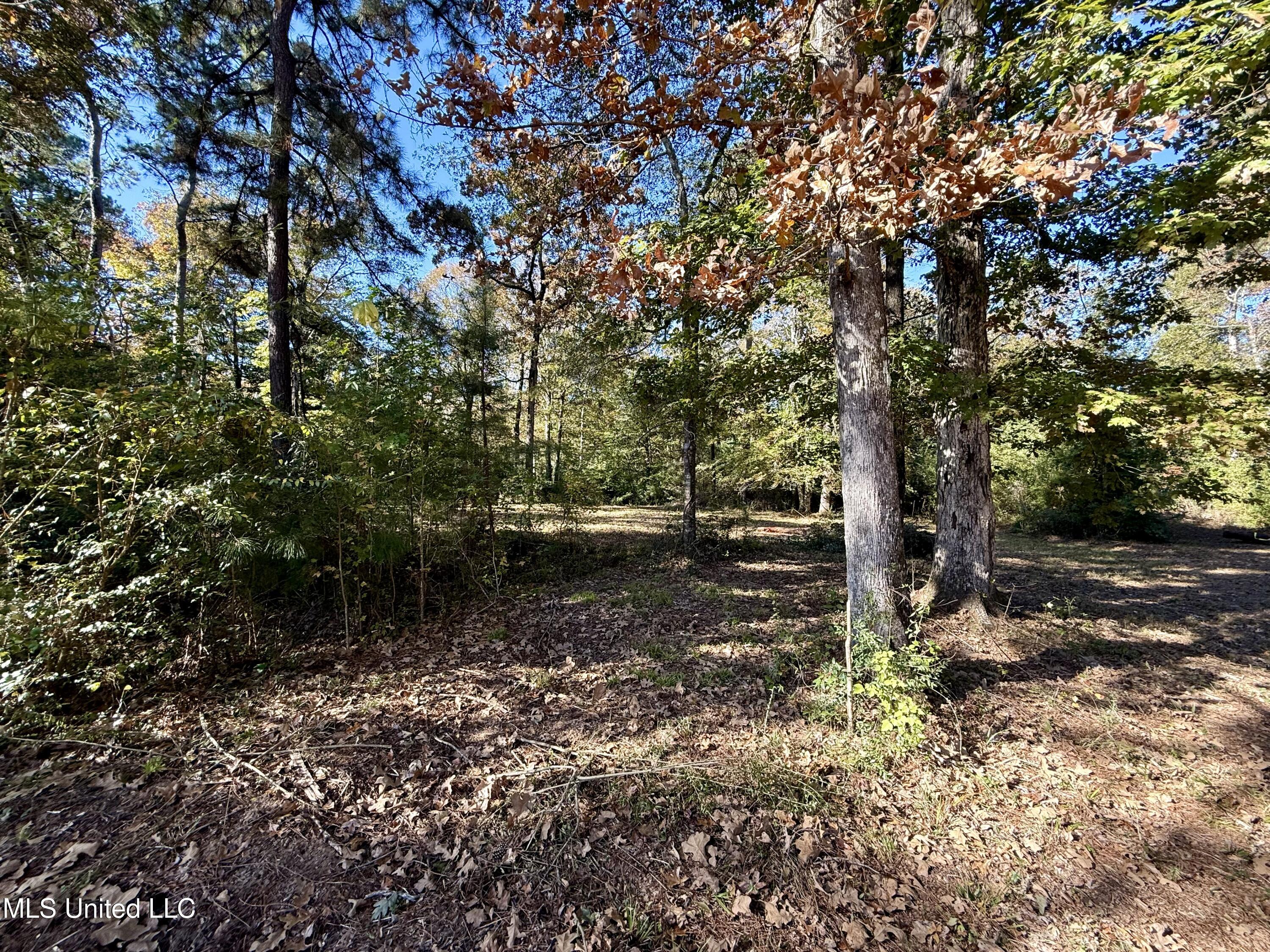 Paige Drive McComb, MS 39648 - Photo 6 of 12 IMG_2827