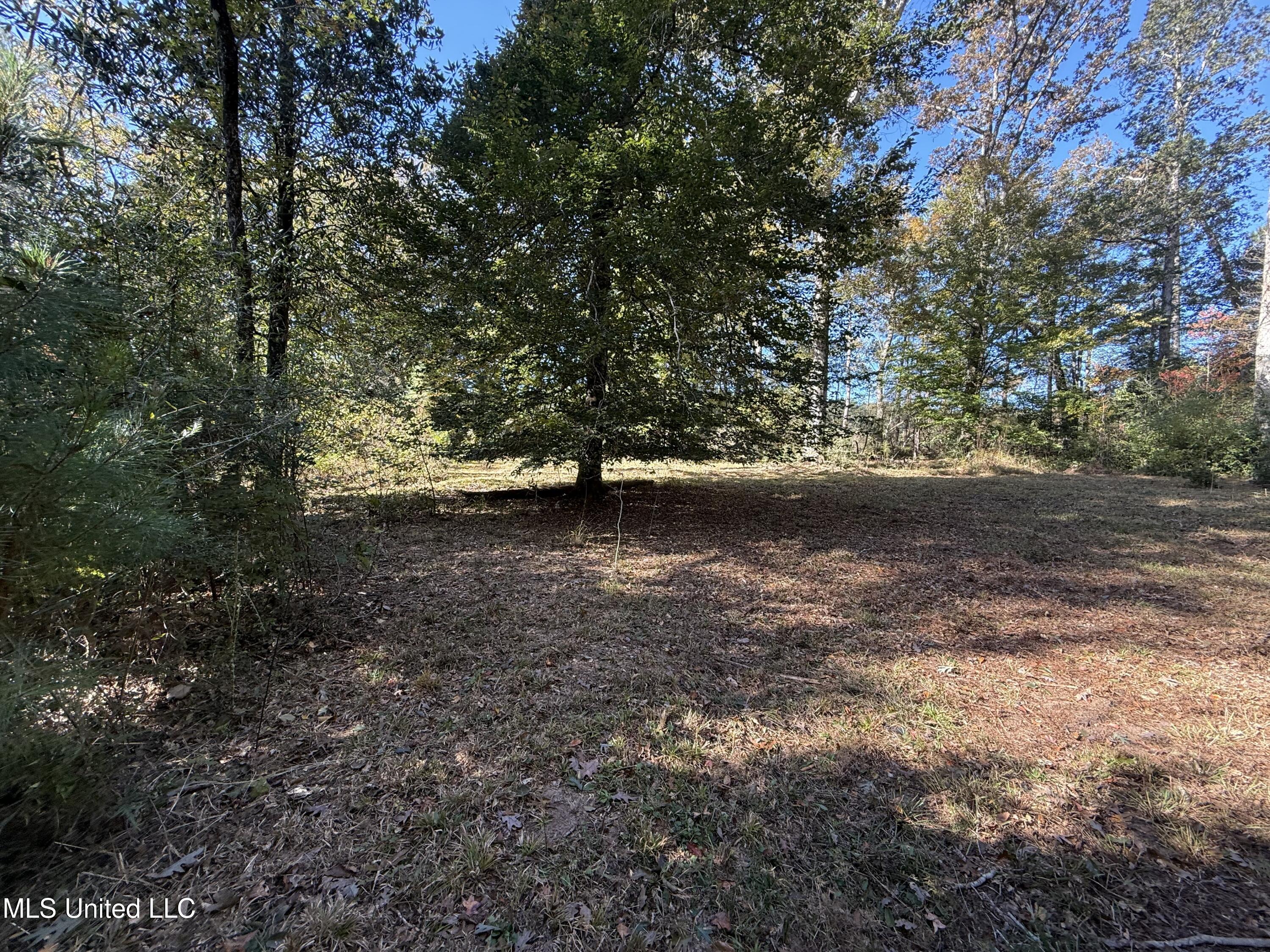 Paige Drive McComb, MS 39648 - Photo 7 of 12 IMG_2831