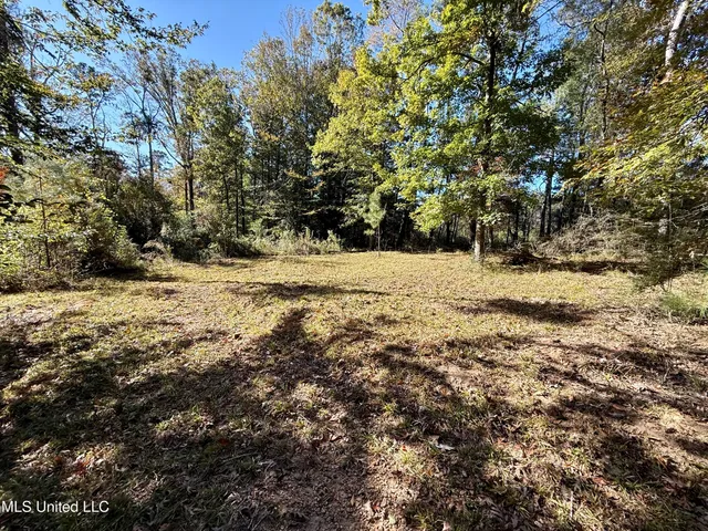 $28,000 | Paige Drive, McComb, MS 39648