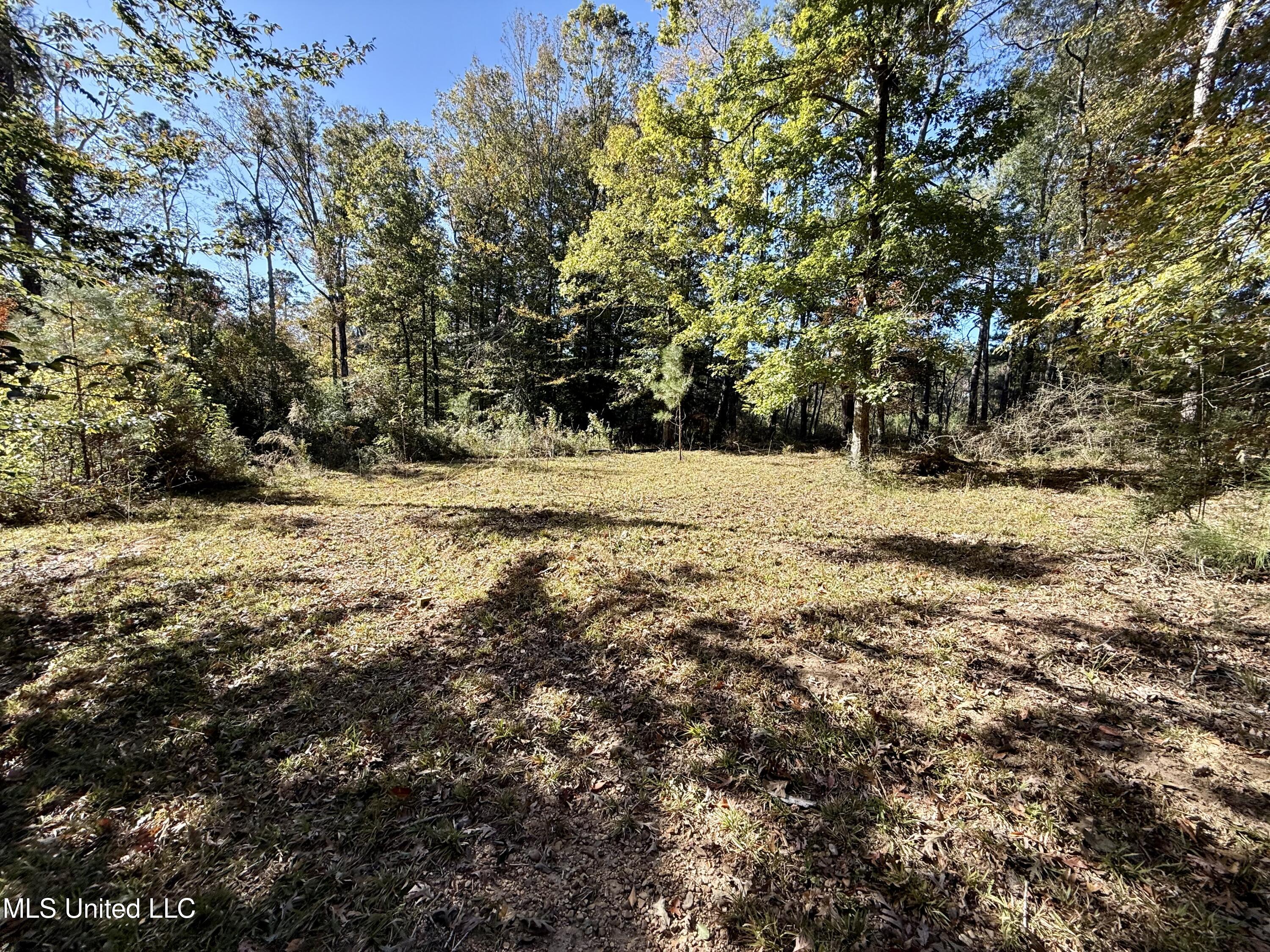 Paige Drive McComb, MS 39648 - Photo 8 of 12 IMG_2833