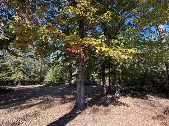 $28,000 | Paige Drive, McComb, MS 39648