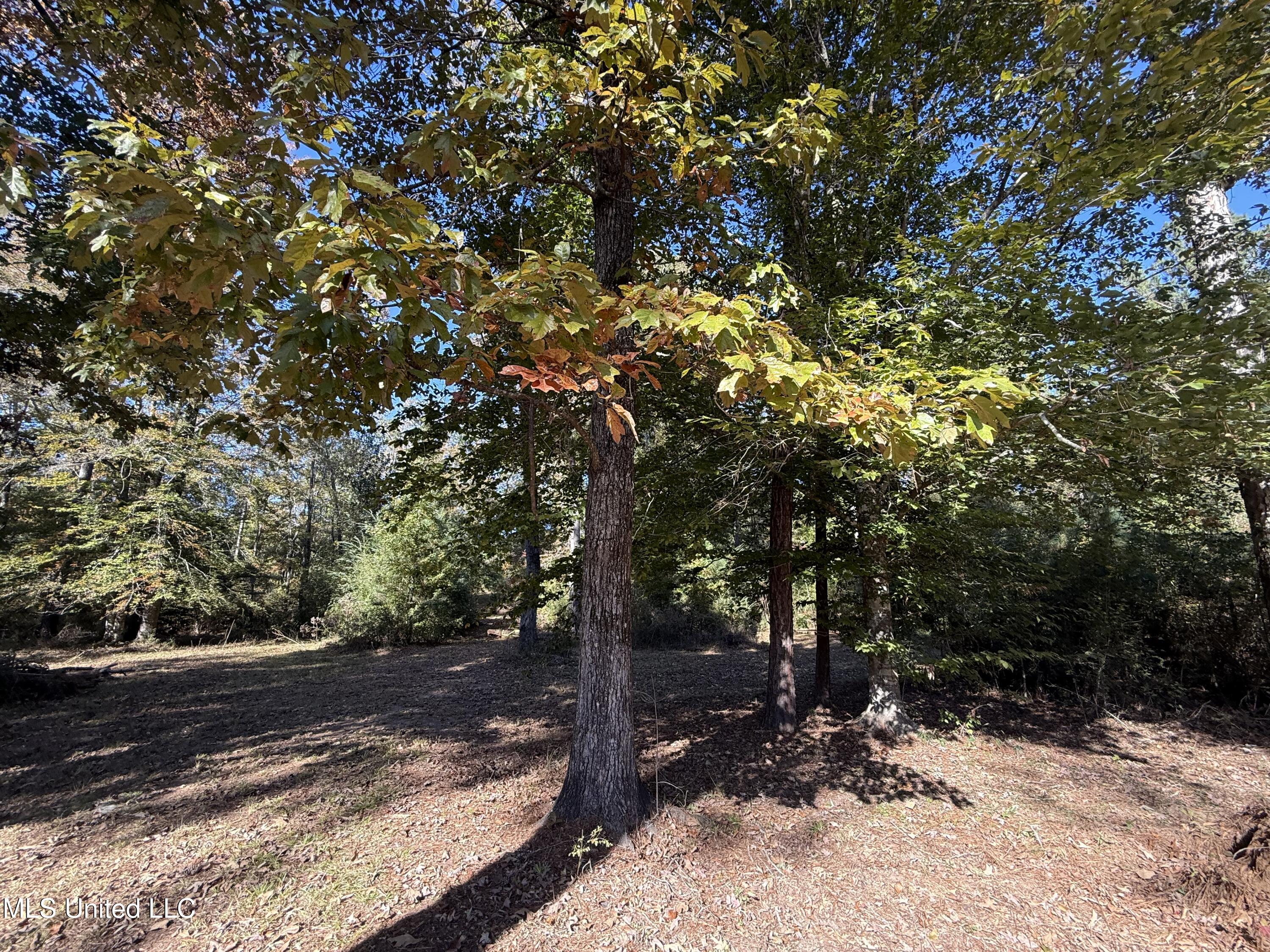 Paige Drive McComb, MS 39648 - Photo 9 of 12 IMG_2841