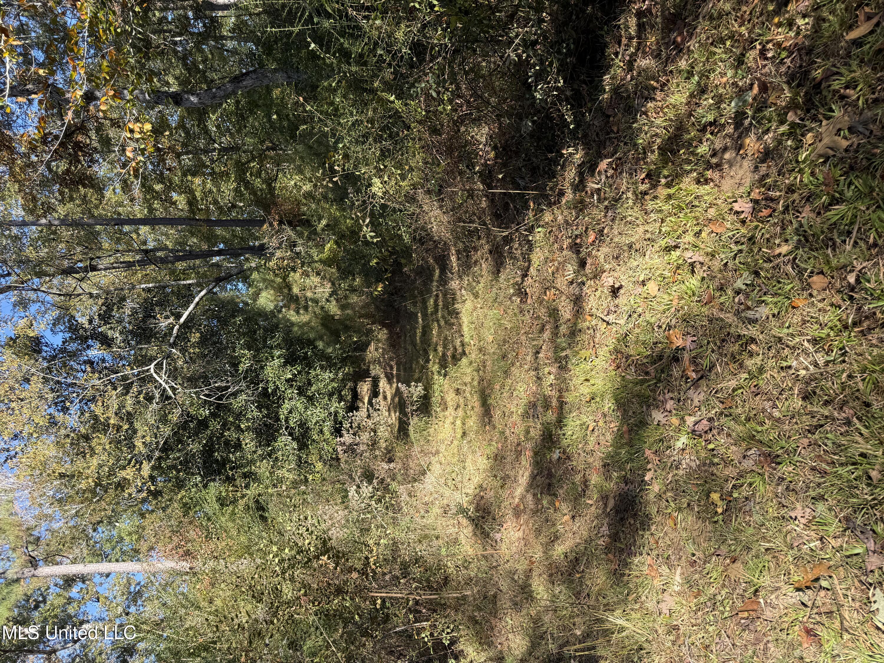 Paige Drive McComb, MS 39648 - Photo 10 of 12 IMG_2836