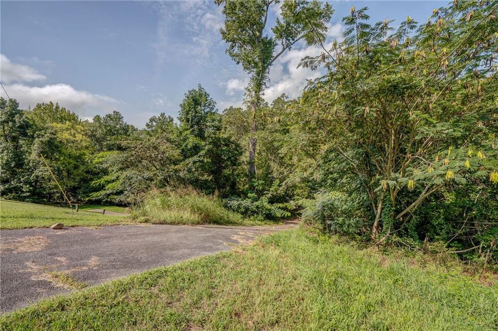 a view of a yard with a tree