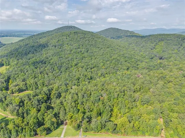 a view of a lush green hillside and a houses