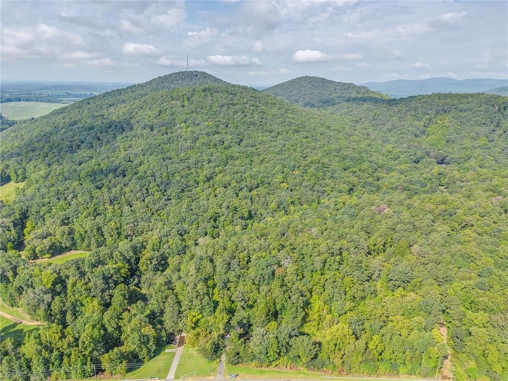 0 Alabama Highway Rome, GA 30165 - Photo 11 of 11 a view of a lush green hillside and a houses