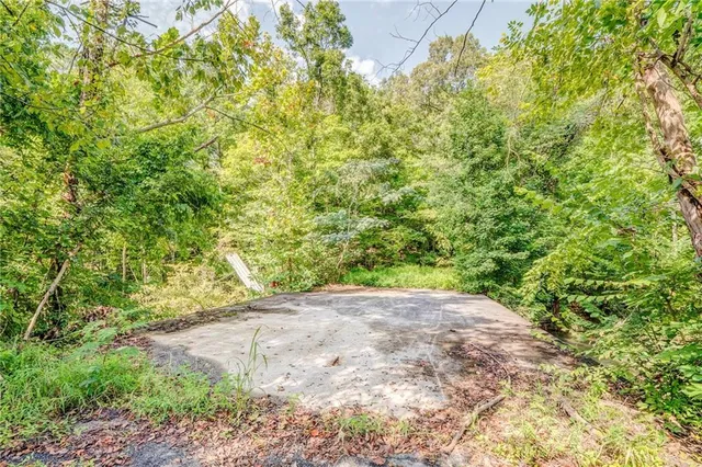 a view of a plants with pathway