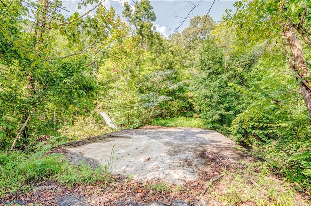 0 Alabama Highway Rome, GA 30165 - Photo 3 of 11 a view of a plants with pathway