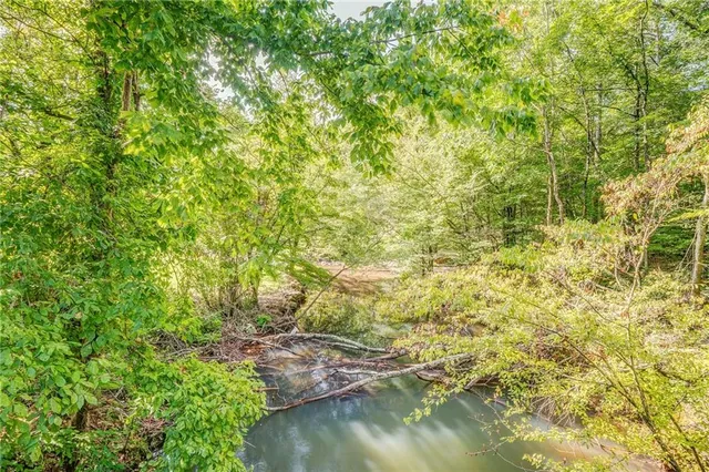 a view of a lake with a tree