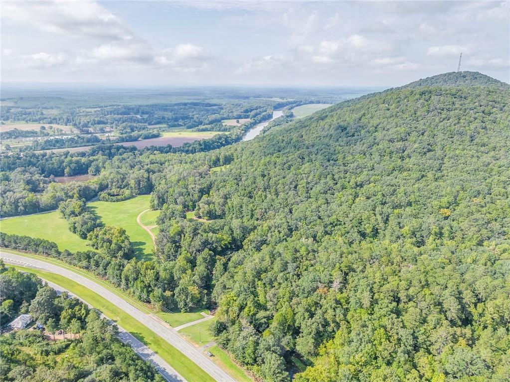 0 Alabama Highway Rome, GA 30165 - Photo 7 of 11 a view of a green field with lots of bushes