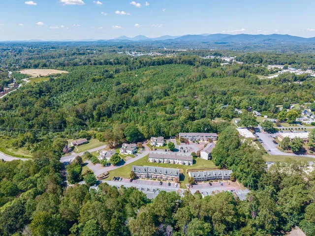 a view of a city with a mountain