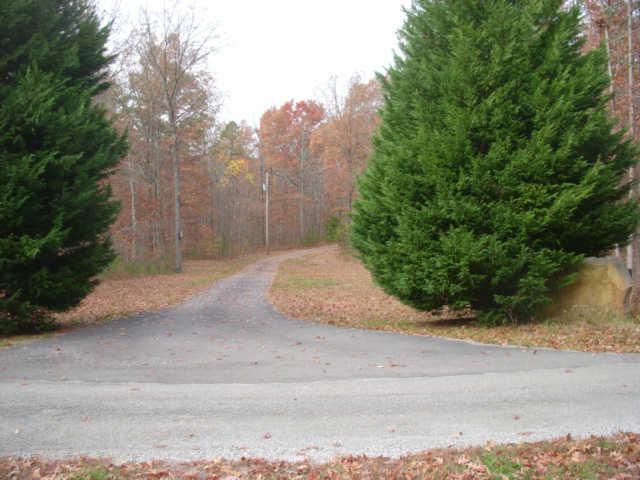 466 Caldwell Road Coalmont, TN 37313 - Photo 4 of 17 Gallery Image 4