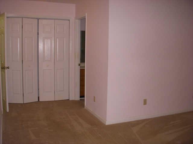 466 Caldwell Road Coalmont, TN 37313 - Photo 10 of 17 Master Bed Room w/walk-in closet, closet