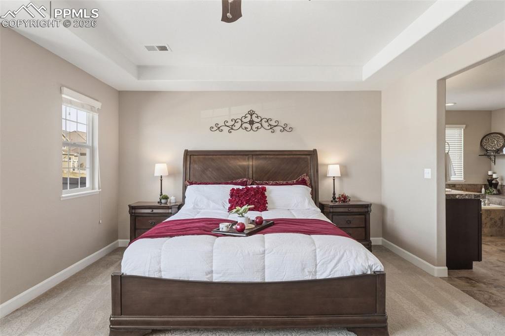 837 Altamont Ridge Drive Colorado Springs, CO 80921 - Photo 11 of 32