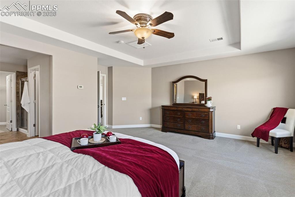 837 Altamont Ridge Drive Colorado Springs, CO 80921 - Photo 12 of 32