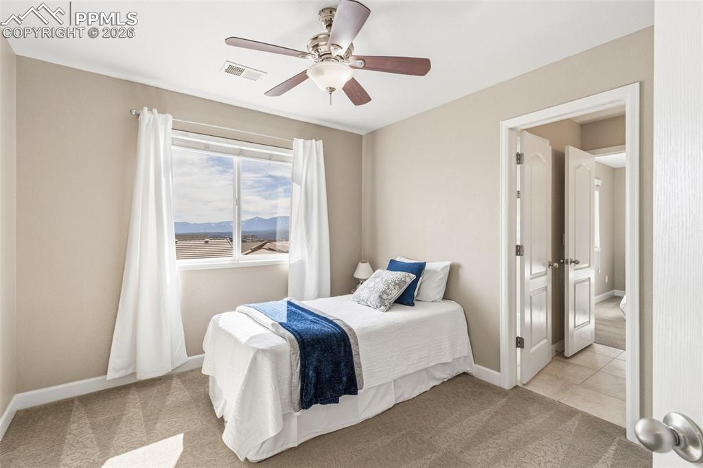 837 Altamont Ridge Drive Colorado Springs, CO 80921 - Photo 20 of 32