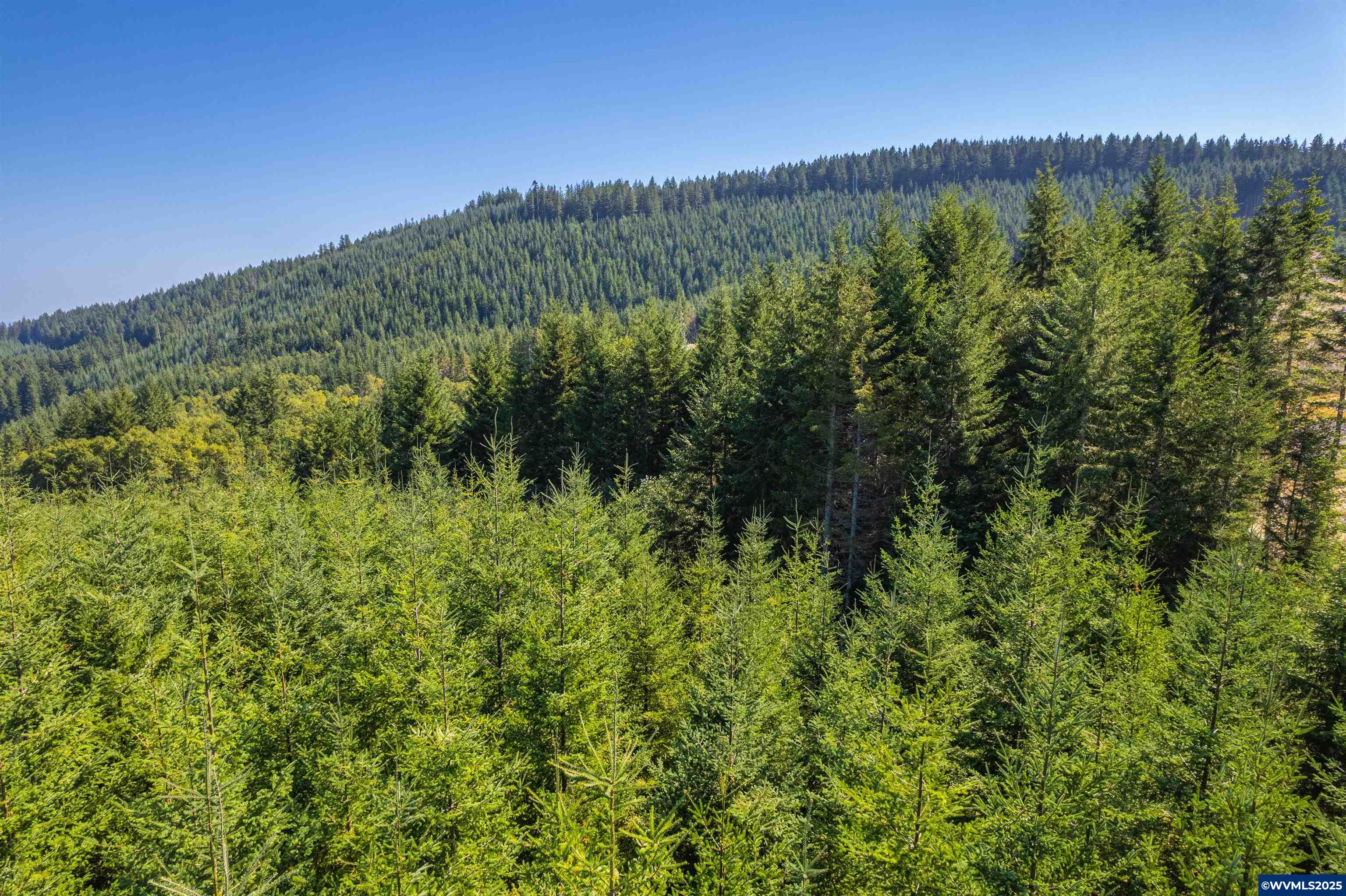 0 Bald Mountain Access Road Willamina, OR 97396 - Photo 19 of 30