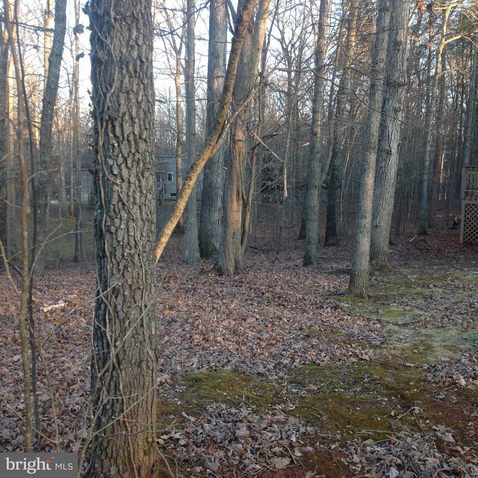 402 Gold Valley Road Locust Grove, VA 22508 - Photo 1 of 3 View
