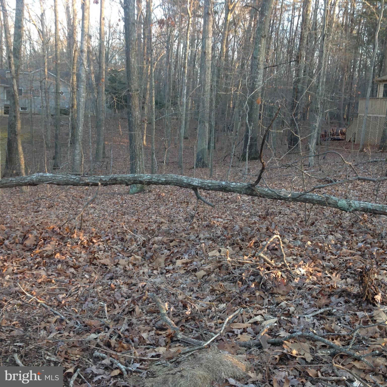 402 Gold Valley Road Locust Grove, VA 22508 - Photo 2 of 3 View