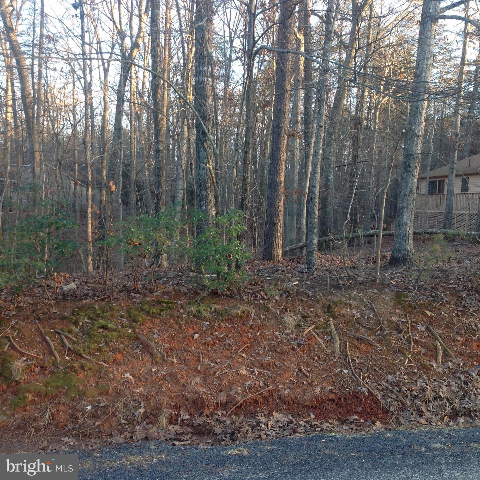 402 Gold Valley Road Locust Grove, VA 22508 - Photo 3 of 3 View