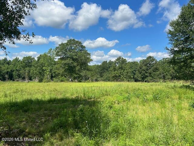 206 Redfish Road Poplarville, MS 39470 - Photo 14 of 28 IMG_6447